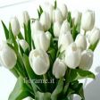 fiori